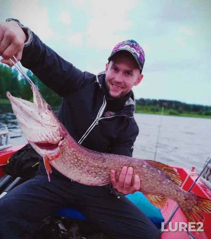 Pike — Volga, Jul 15, 2019