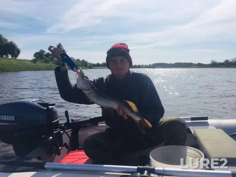Perch, Pike — Monastyrskoye, Aug 18, 2019