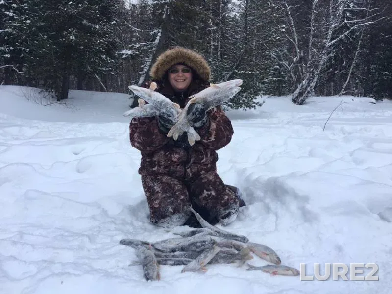 Pike — Yetypur, Feb 23, 2019