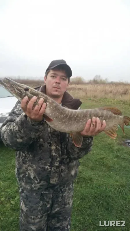 Pike — Dvurechka, Oct 06, 2019