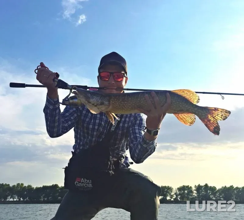Perch, Pike — yerik Belyy Ilmen, Sep 18, 2019
