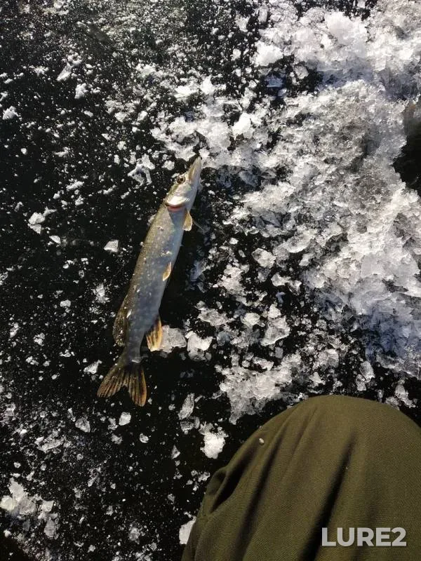 Pike — Ik, Nov 15, 2018