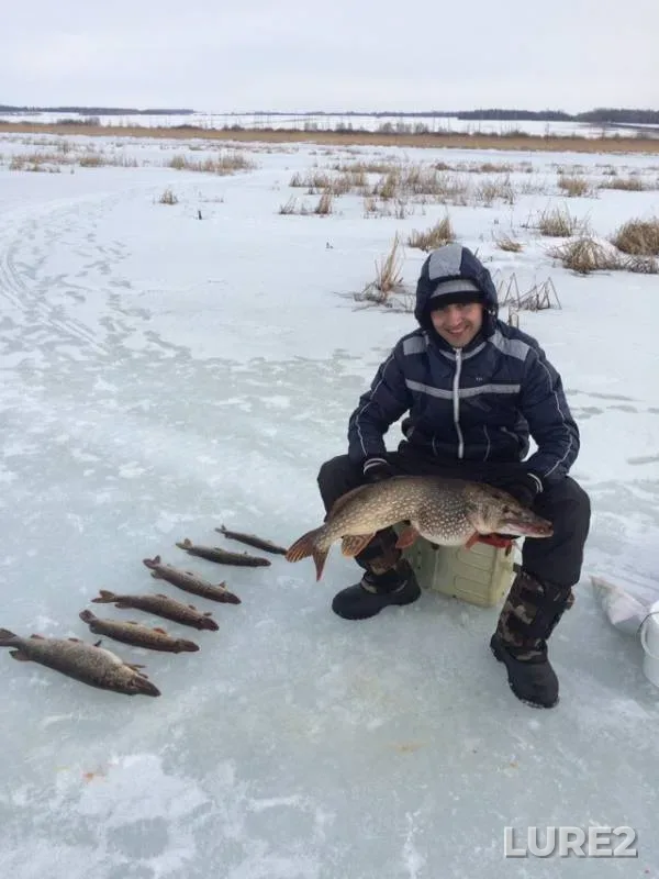Pike — Menzelya, Mar 24, 2019