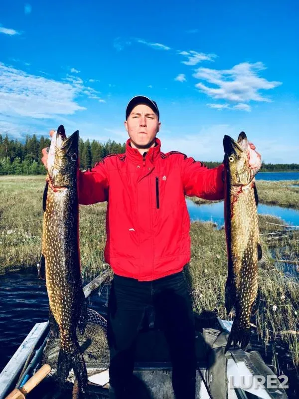 Pike — Kovdozero, Jun 18, 2019
