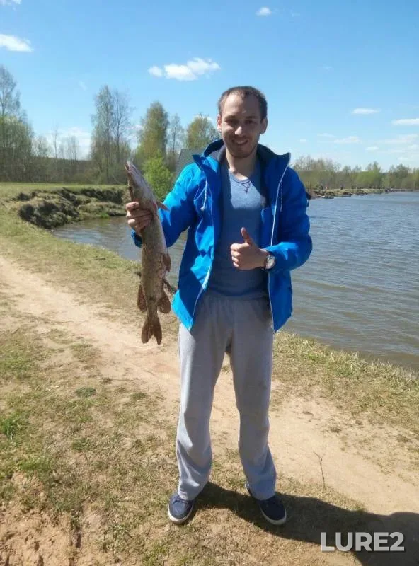 Pike — Moskovskaya oblast, Ruzskiy gorodskoy okrug, May 12, 2017