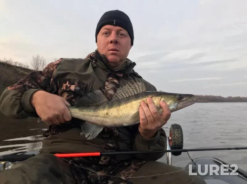 Zander — Oka, Oct 20, 2019