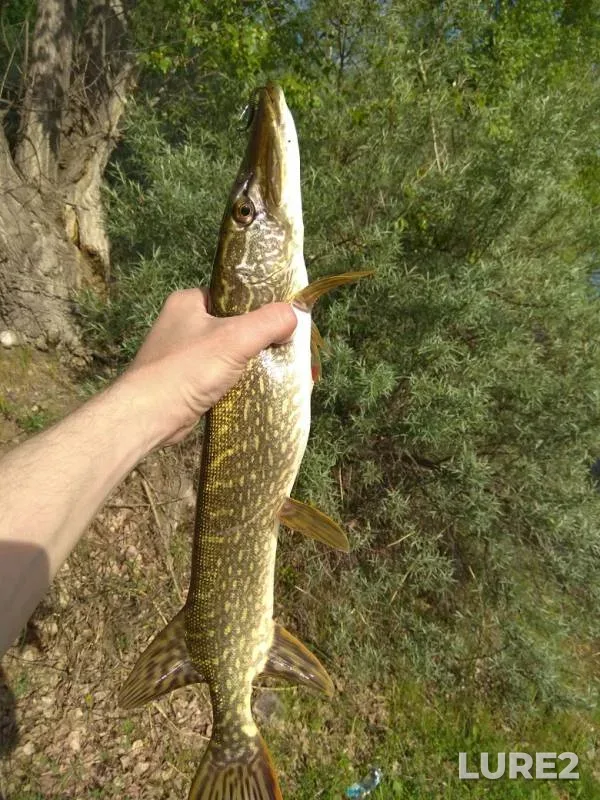 Pike — Yesaulovka, Jun 13, 2019