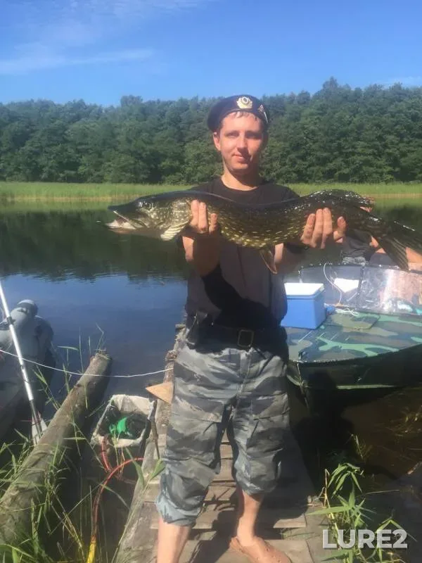 Pike — Leningradskaya oblast, Vyborgskiy rayon, Jun 12, 2018