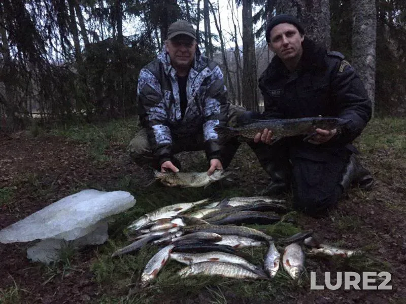 Perch, Pike — Respublika Kareliya, Lakhdenpokhskiy rayon, May 05, 2019