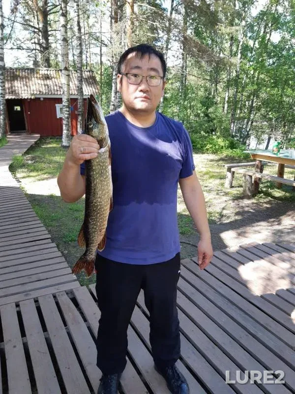 Bream, Pike — Respublika Kareliya, Lakhdenpokhskiy rayon, Jun 28, 2019