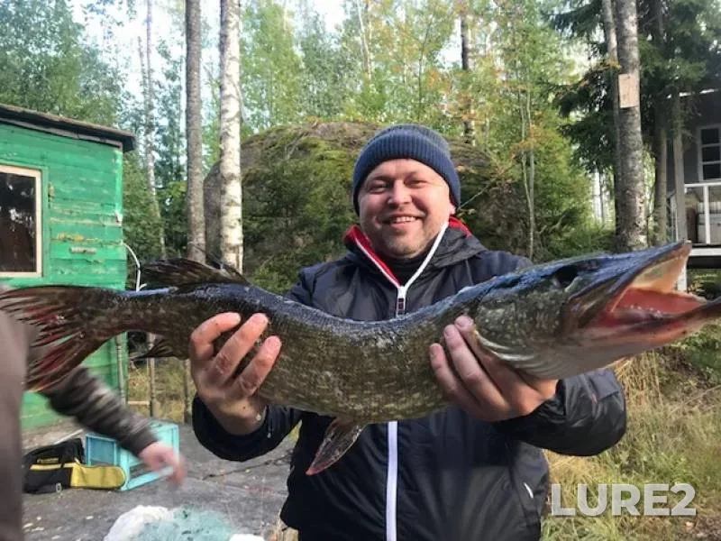 Pike — Respublika Kareliya, Lakhdenpokhskiy rayon, Sep 25, 2019
