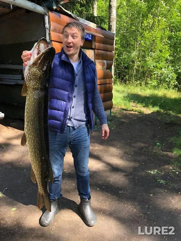 Pike — Respublika Kareliya, Lakhdenpokhskiy rayon, Oct 15, 2019