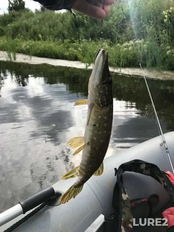 Perch, Pike — Upokoy, Jul 07, 2018