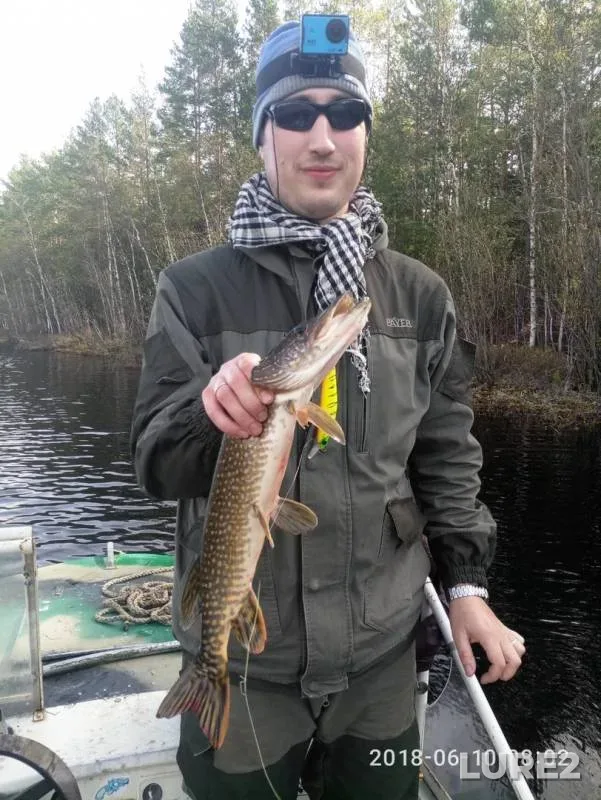 Perch, Pike — Vatyogan, Jun 10, 2018