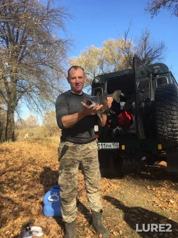 Zander — Staryy Dnepr, Nov 26, 2019