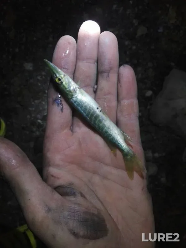 Pike — Nura, Jul 09, 2019