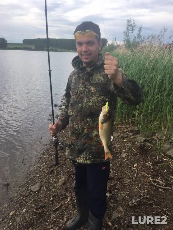 Perch — Severnaya Unga, Jun 16, 2019