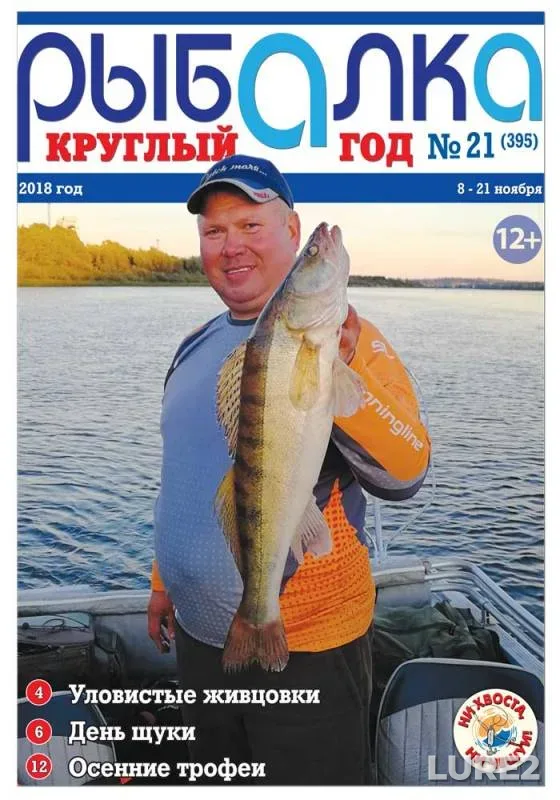Pike — Moskovskaya oblast, gorodskoy okrug Shatura, Nov 07, 2018
