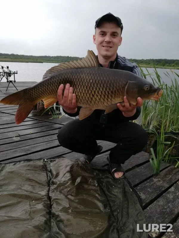 Carp — Boloto Kopytskoye, Jun 23, 2019