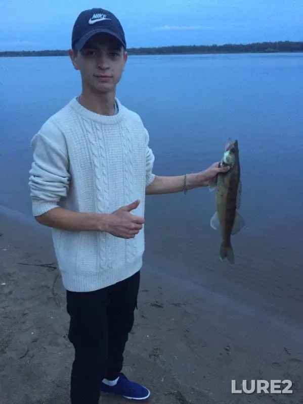Zander — Kama, Jul 31, 2019