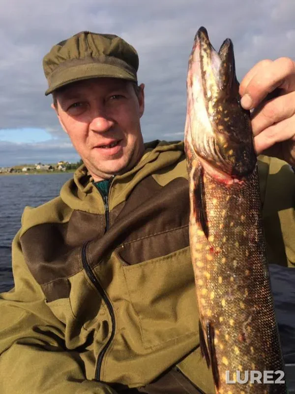 Pike — Arkhangelskaya oblast, Plesetskiy munitsipalnyy okrug, Aug 12, 2019