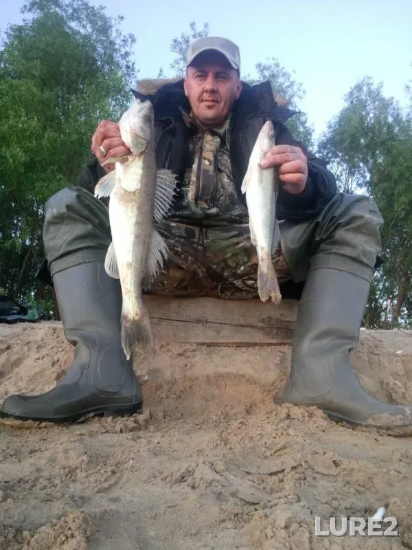 Zander — Vychegda, Jul 21, 2019
