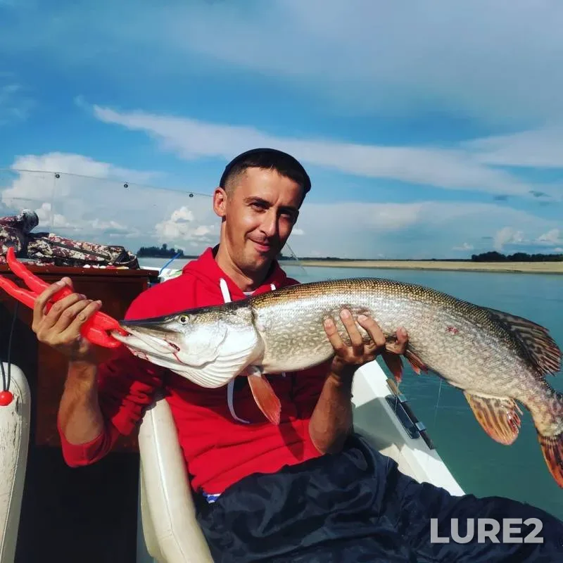 Pike, Zander — Irtysh, Sep 20, 2019