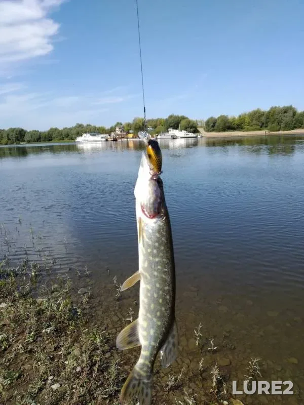 Pike — Oka, Sep 01, 2019
