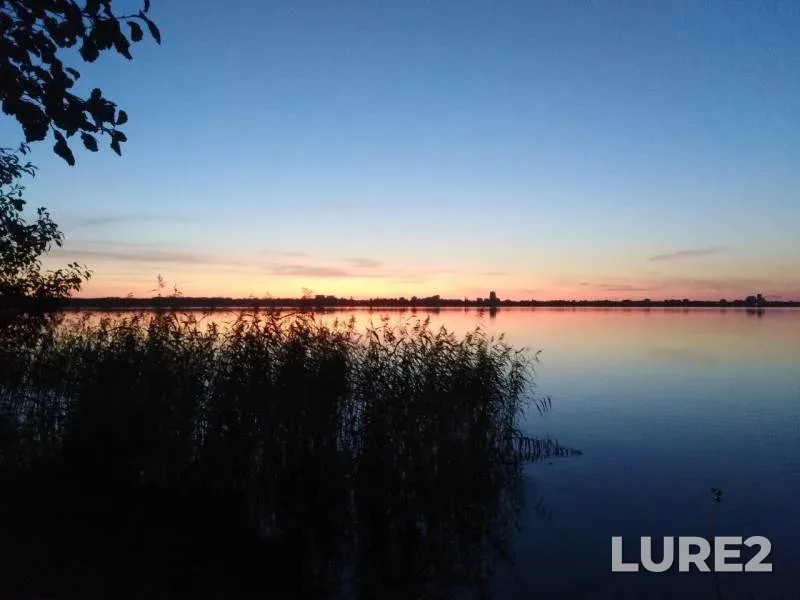 Pike — Sestroretskiy Razliv, Sep 02, 2019