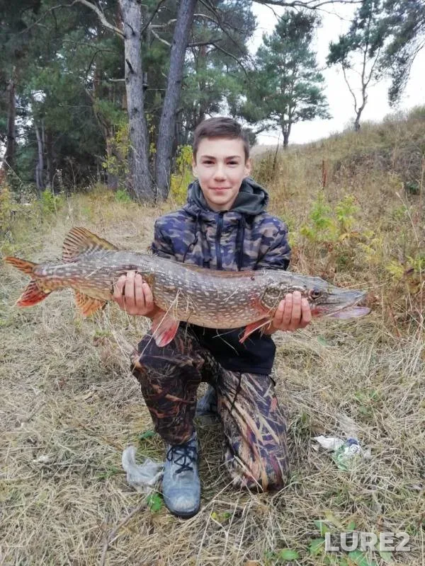 Pike — Belgorodskaya oblast, Sep 29, 2019