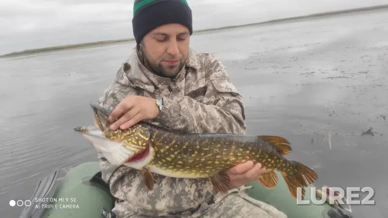 Pike — Gorkiy liman, Oct 05, 2019