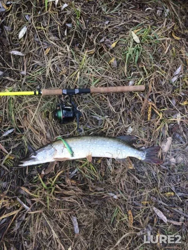 Pike — Sosnovka № 2, Oct 21, 2019