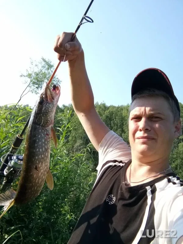 Pike — Sinara, Jul 28, 2018
