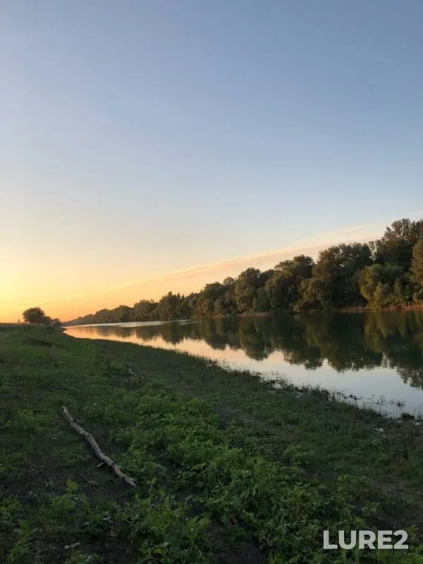 Crucian carp, Pike — Kholodnyy kanal, Aug 12, 2018