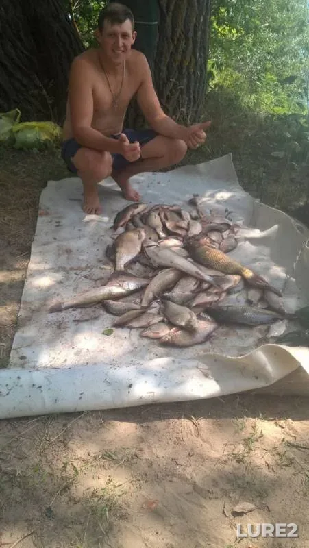 Bream, Crucian carp — Don, Sep 01, 2018
