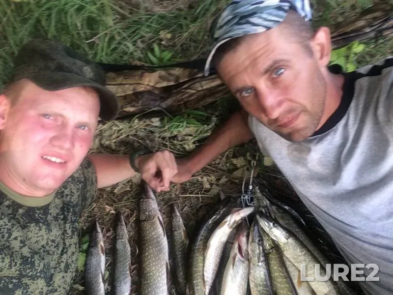 Ide, Pike — Orenburgskaya oblast, Sep 02, 2018