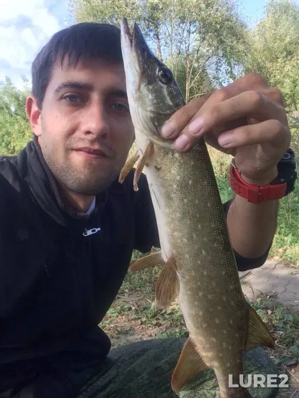 Pike — Oka, Sep 11, 2018
