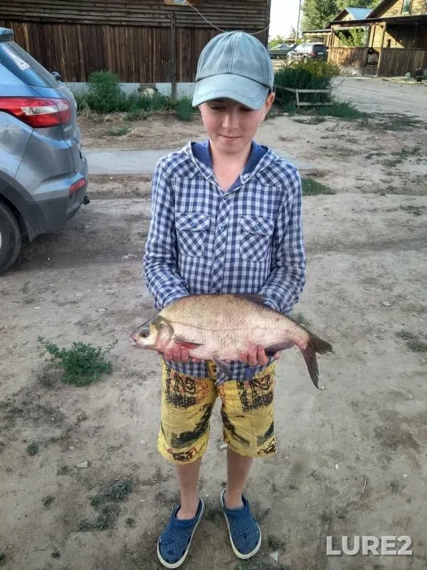 Bream — Volga, Sep 23, 2018
