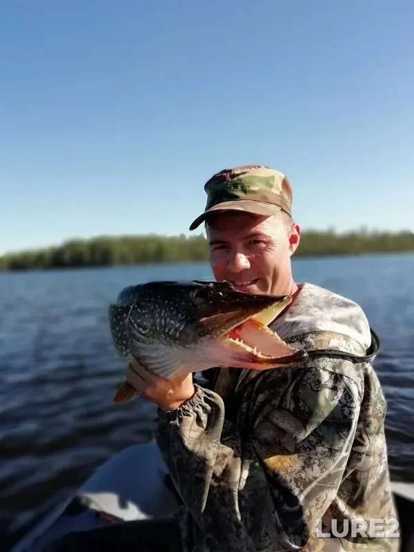 Pike — Pukshazyarvi, Aug 10, 2018