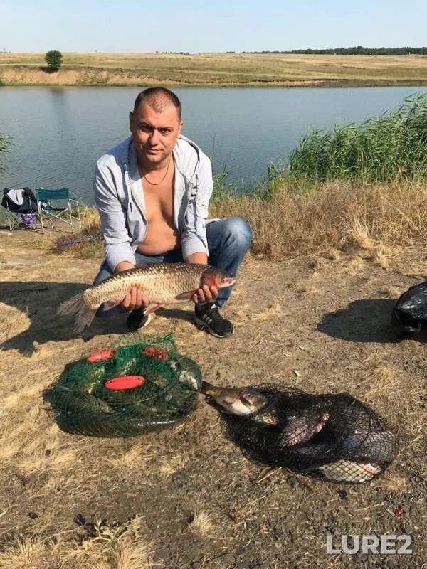 Carp — Ayuta, Jul 27, 2019