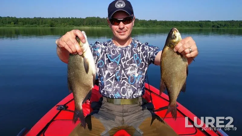 Bream, Carp — Pleshcheyevo, Oct 16, 2019
