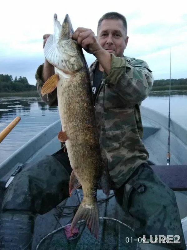 Pike — Lipovskoye, Sep 04, 2018