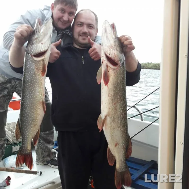 Pike — Sob, Sep 05, 2018