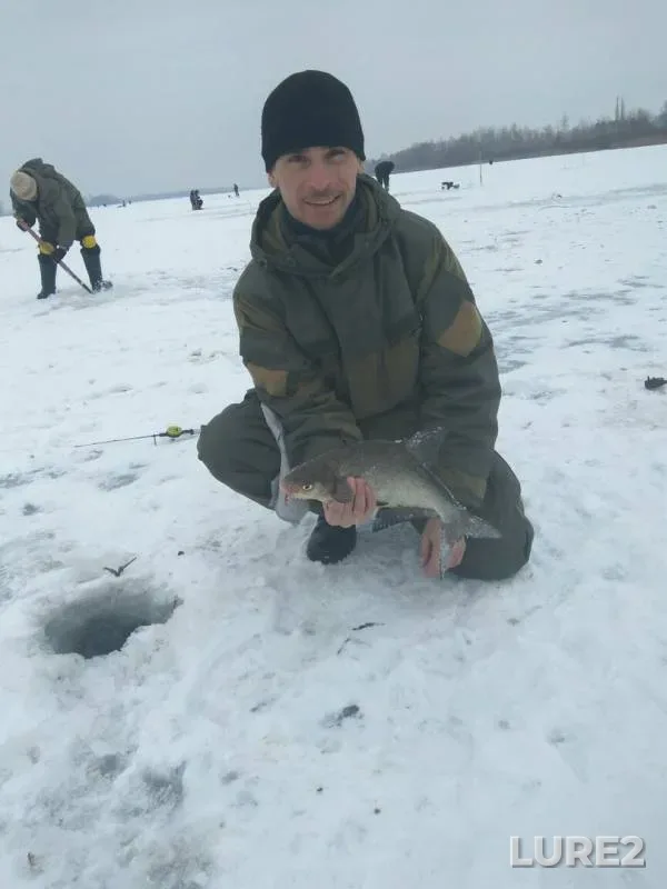 Bream, Roach — Dnepr, Feb 02, 2017