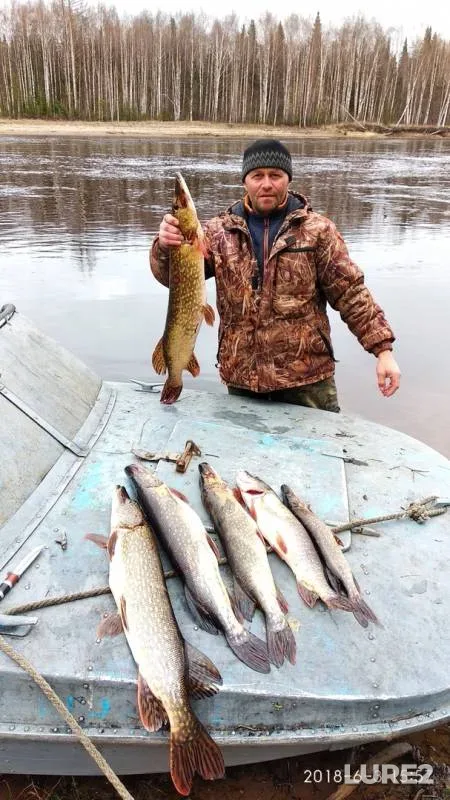 Pike — Sebys, Sep 12, 2018