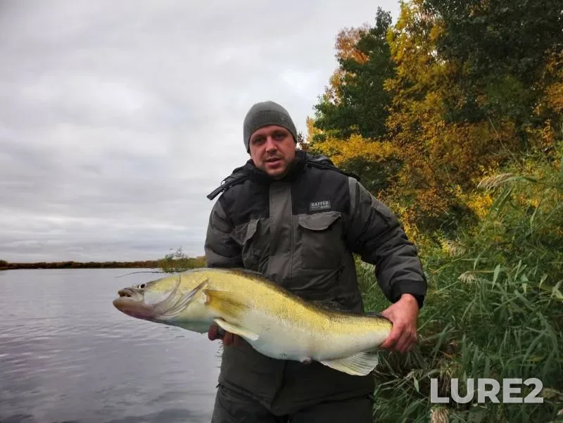 Zander — Dubyashka, Oct 21, 2018