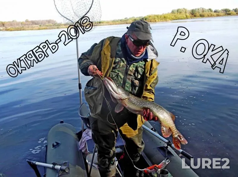 Pike — Oka, Nov 07, 2018