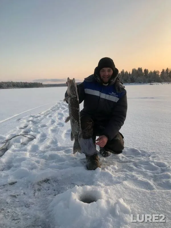 Pike — Panozero, Dec 22, 2018