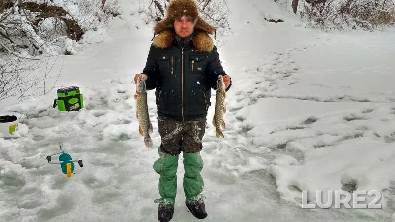 Pike — Baykal, Jan 12, 2019
