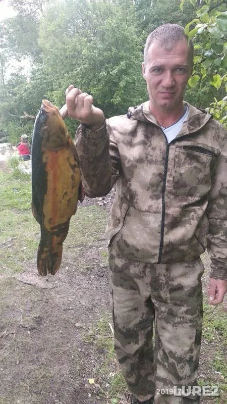 Tench — Volga, Jul 14, 2019